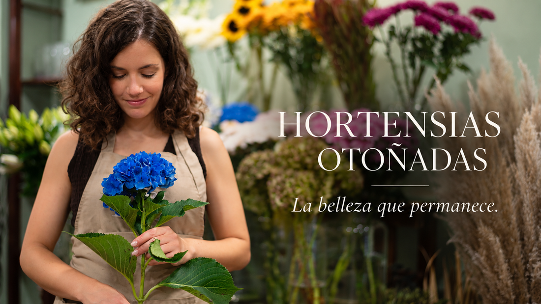 Hortensias otoñadas: cómo cuidar, secar y disfrutar de esta flor durante todo el año