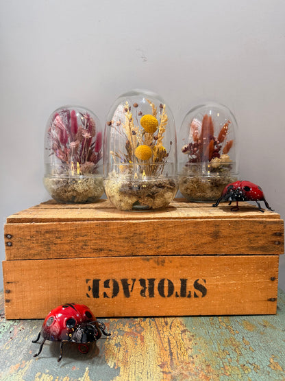 Cápsula Un Instante Guardado