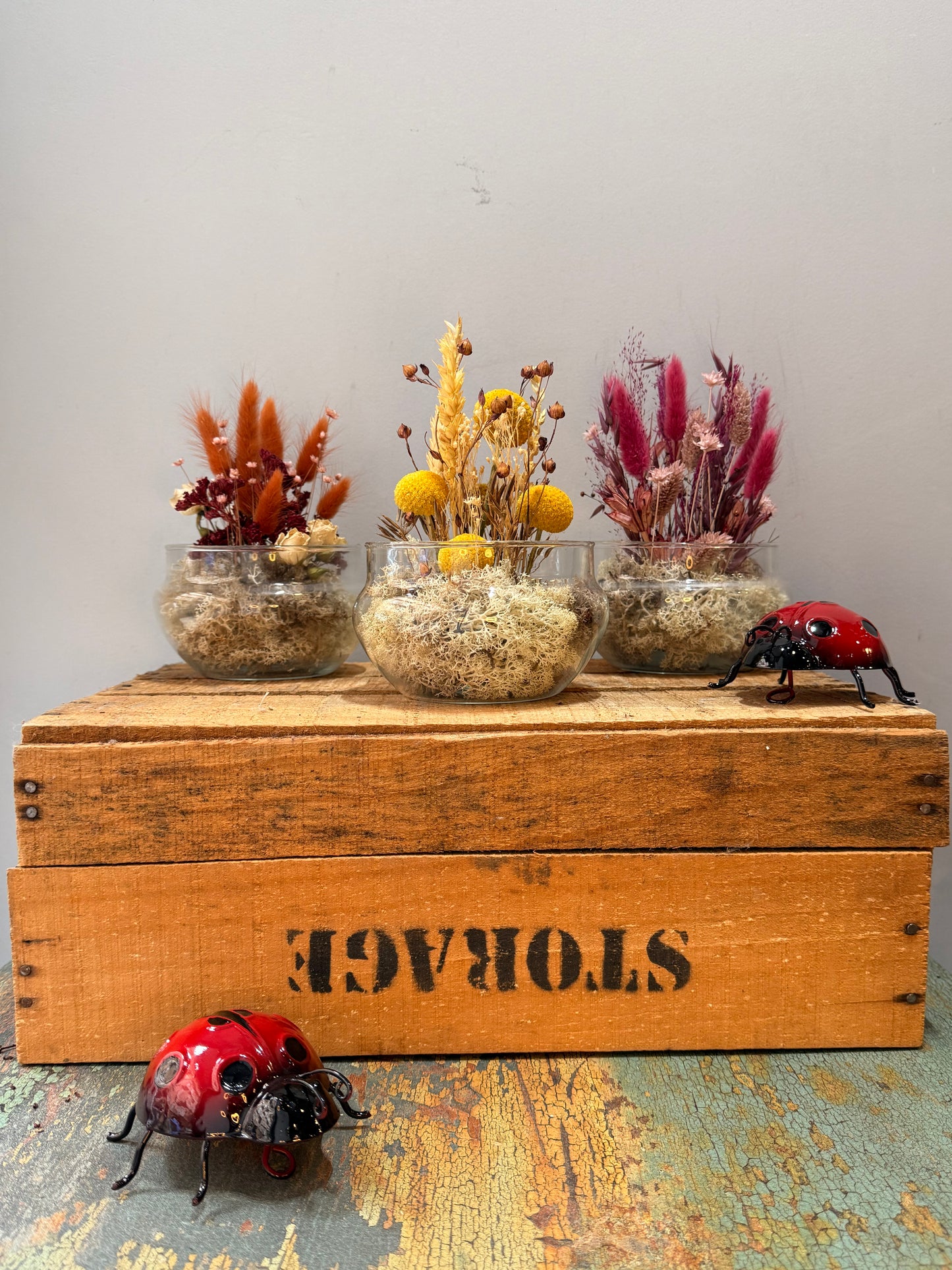 Cápsula Un Instante Guardado