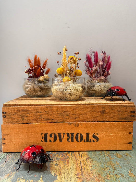 Cápsula Un Instante Guardado