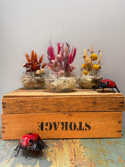 Cápsula Un Instante Guardado