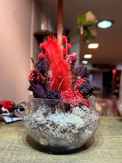 Cápsula Un Instante Guardado