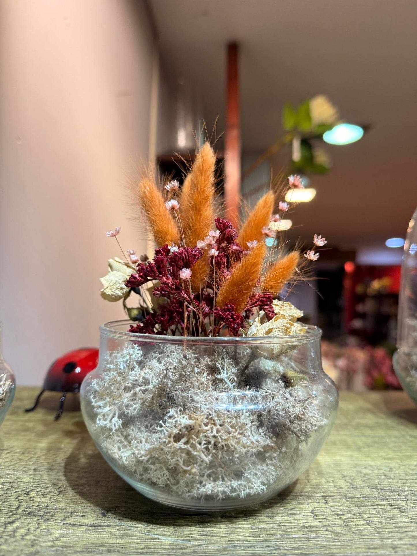 Cápsula Un Instante Guardado