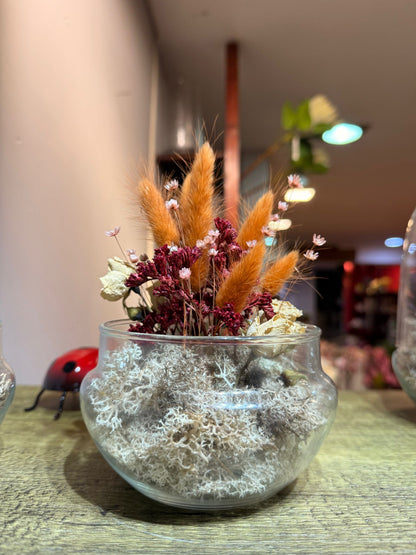 Cápsula Un Instante Guardado