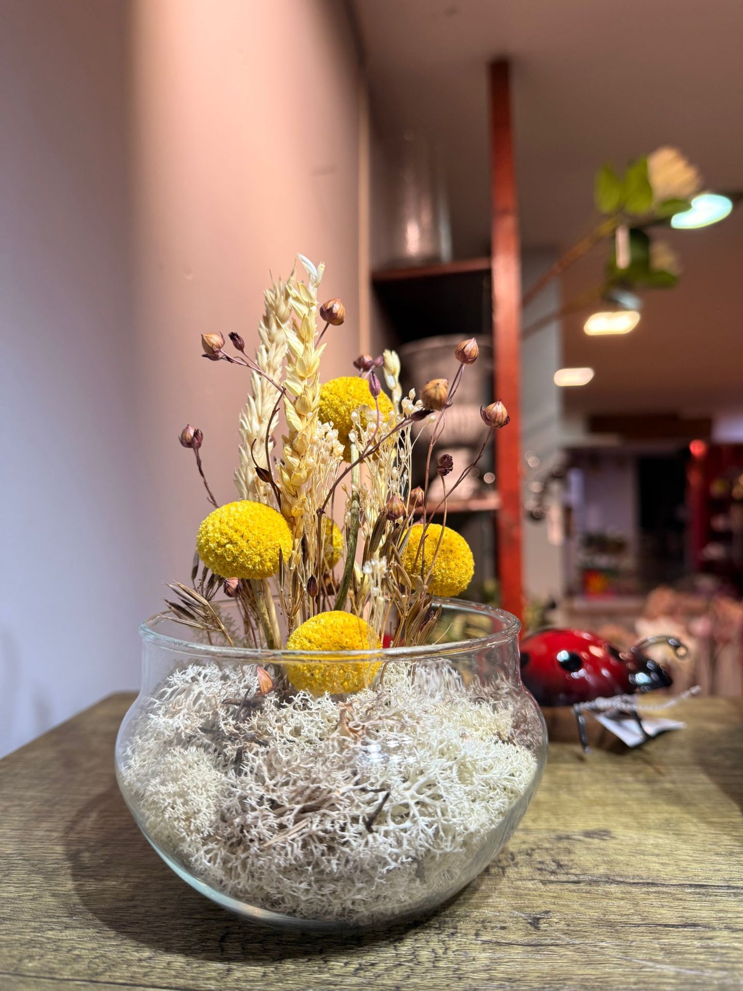 Cápsula Un Instante Guardado